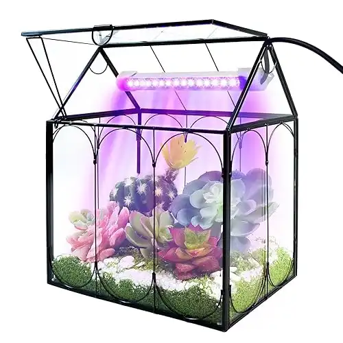 Rifny Indoor House Shape Glass Terrarium Kit with Lid and Grow Light