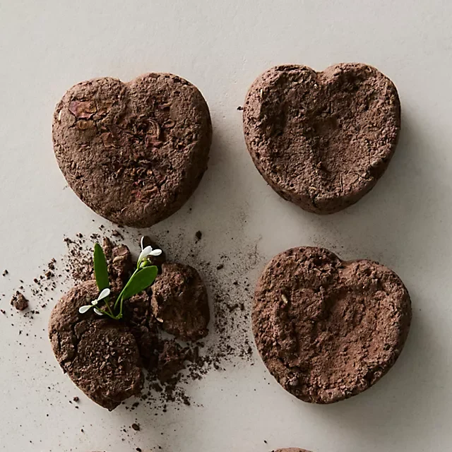 Love Seed Bombs by Free People