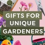 Super Interesting and Fun Gift Ideas For A Chaos Garden