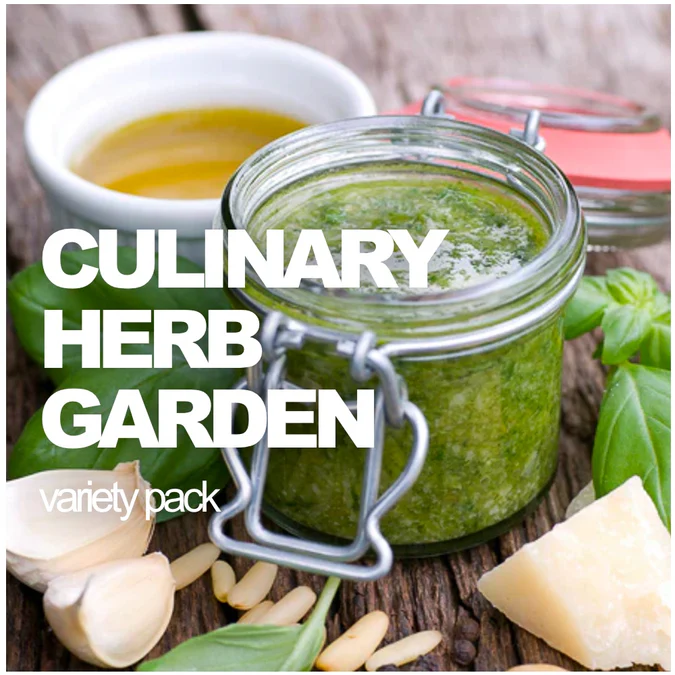 All-in-One Culinary Herb Garden Variety Pack SeedsNow.com