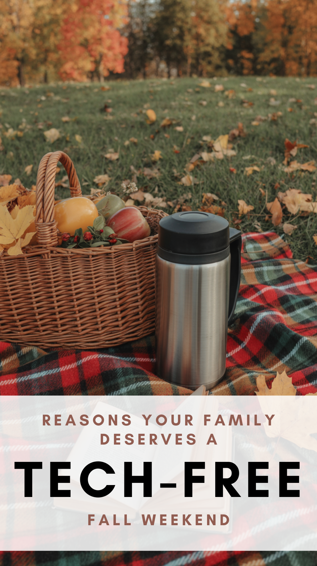 cozy autumn picnic on a plaid blanket under colorful fall trees, thermos of cider, vintage book, scattered leaves, warm natural light, rustic aesthetic
